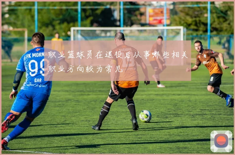 职业篮球员在退役后从事哪些相关职业方向较为常见