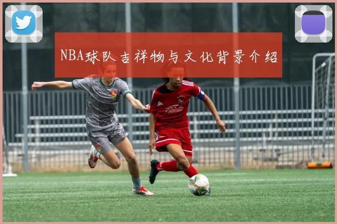 NBA球队吉祥物与文化背景介绍
