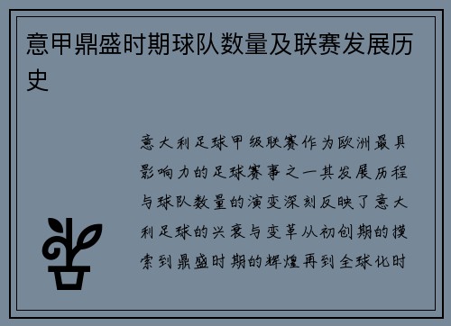意甲鼎盛时期球队数量及联赛发展历史